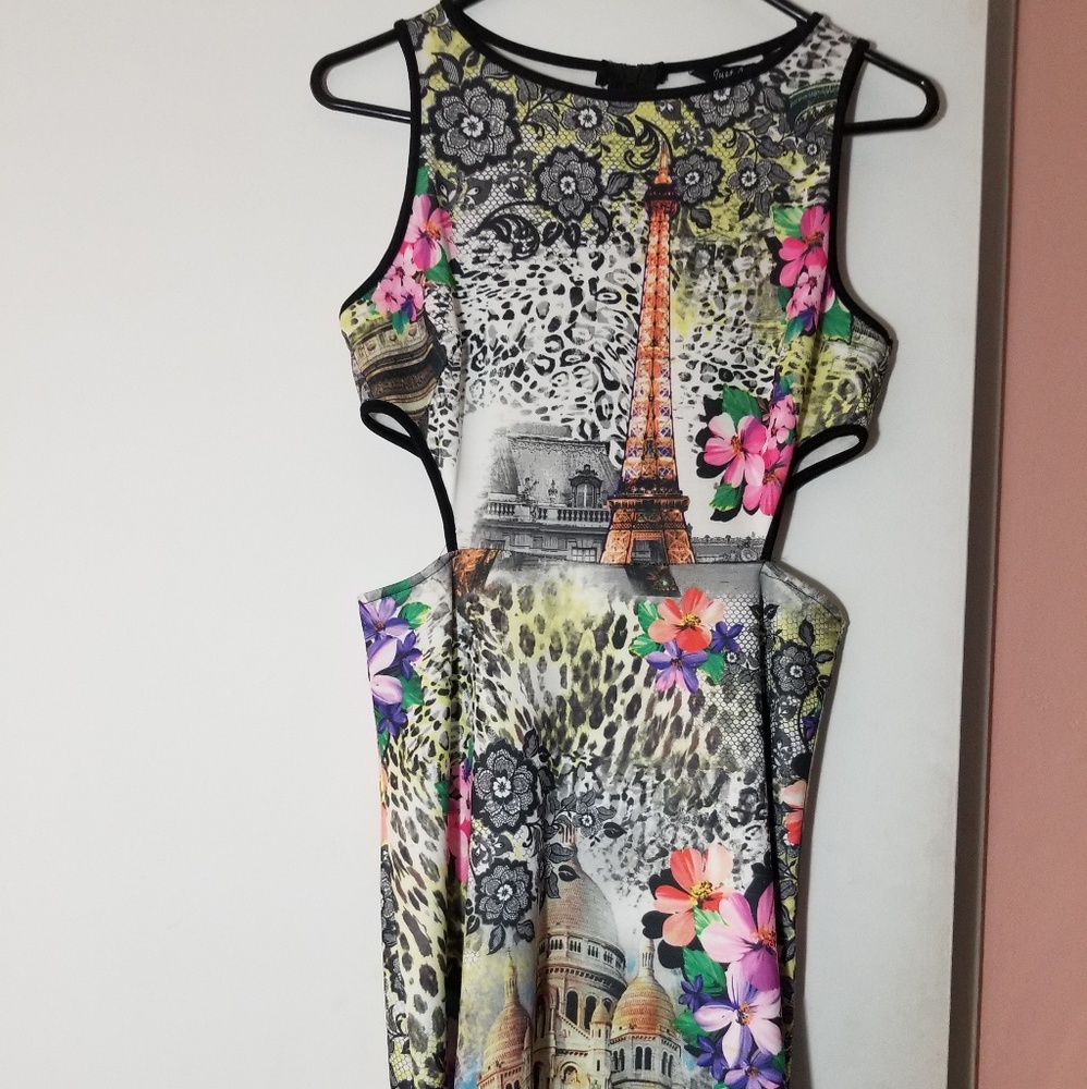 Beautiful Paris and Cheetah Print Cutout Dress